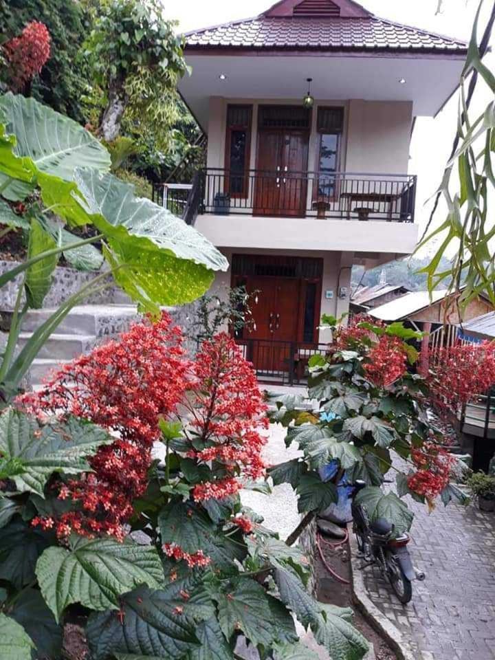 Bukit Lawang Hotel Kültér fotó